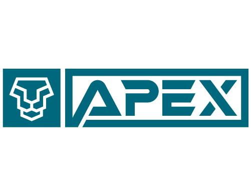 Home 22 Apex logo — custom brand identity designed by Monsoon